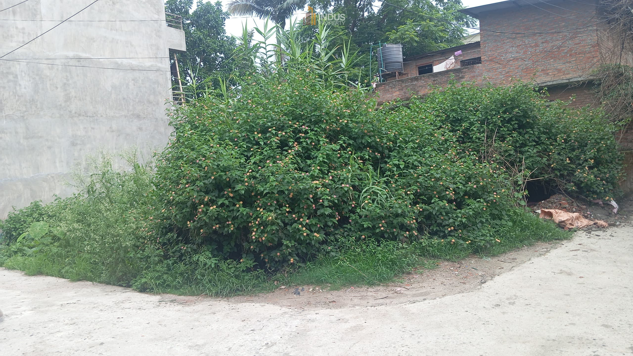 Picture of Mahalaxmi Municipality, Bagmati